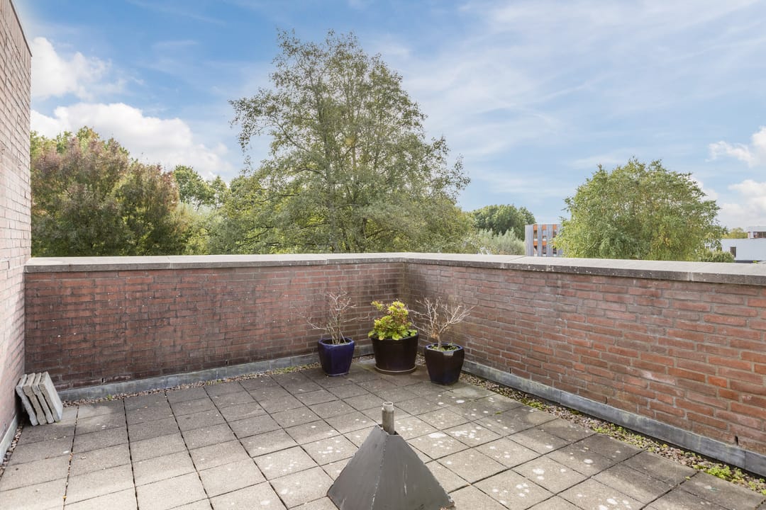 Foto 23 van Blauwtjes 150