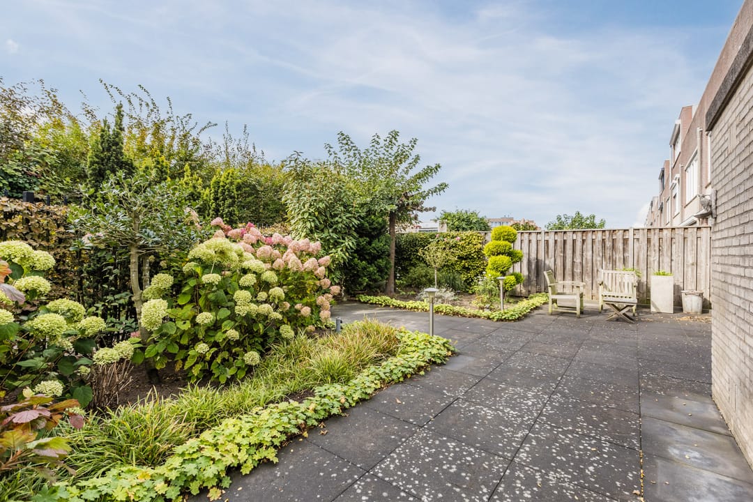 Foto 28 van Blauwtjes 150