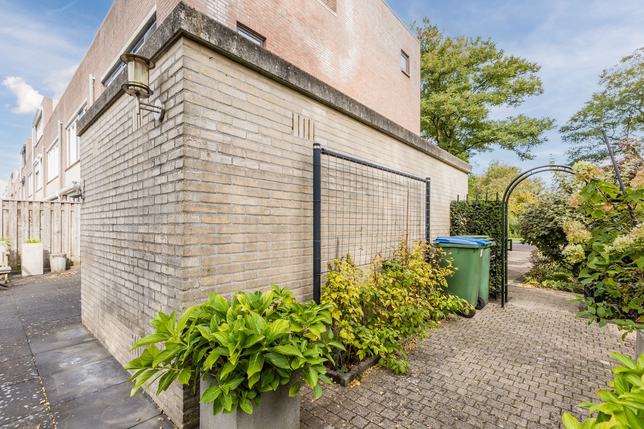 Foto 30 van Blauwtjes 150