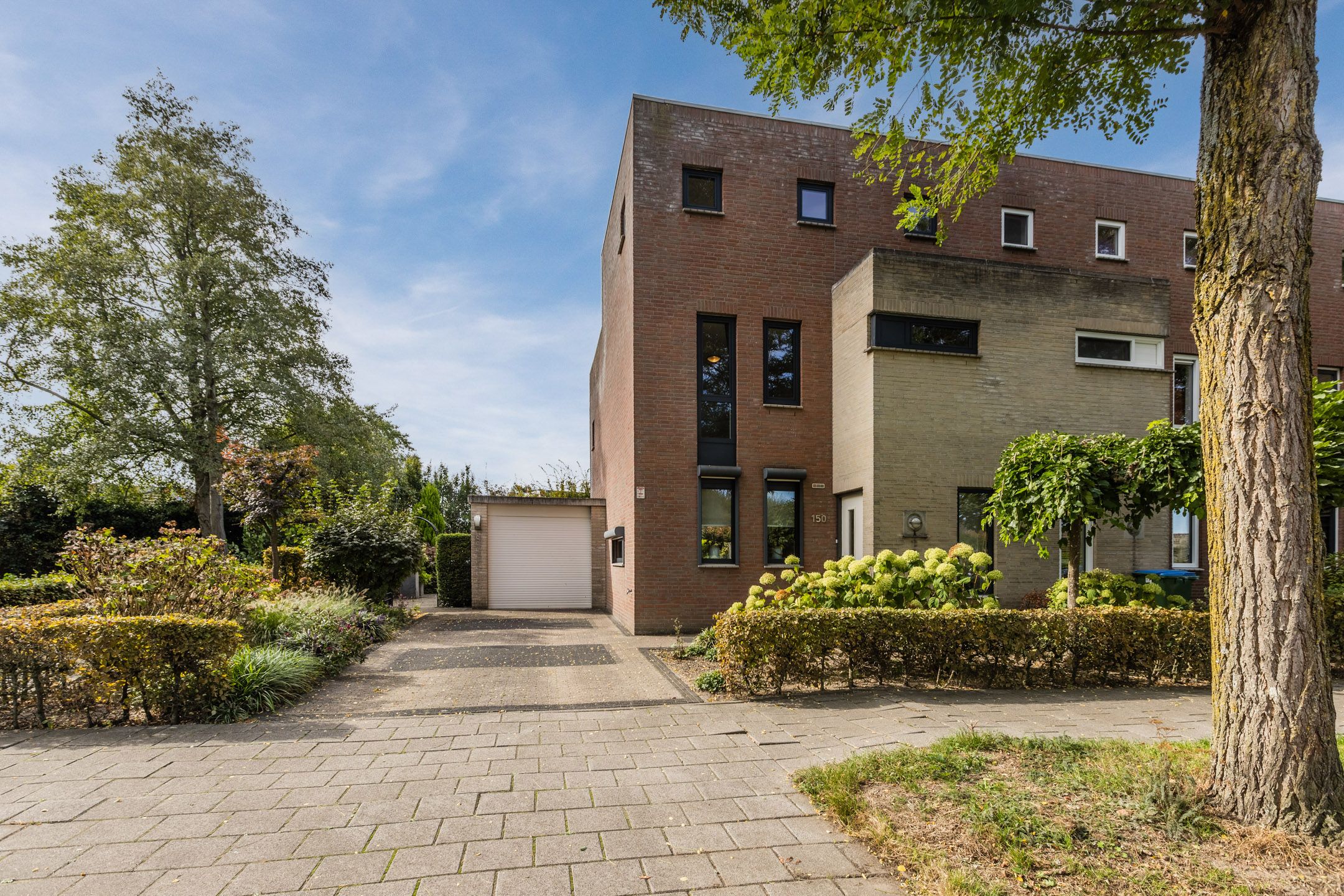 Foto 33 van Blauwtjes 150