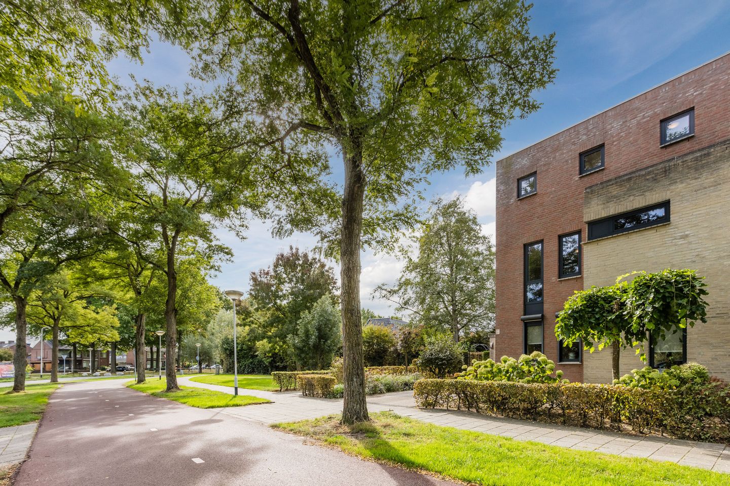 Foto 35 van Blauwtjes 150