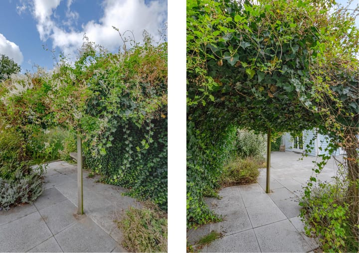 Foto 4 van De Heeren van 's-Gravensande 179