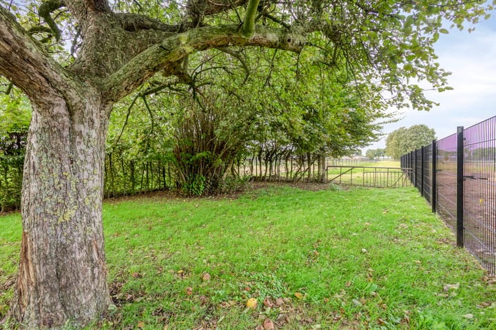 Foto 67 van Burgemeester van Erpstraat 35