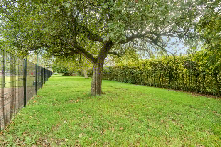 Foto 68 van Burgemeester van Erpstraat 35