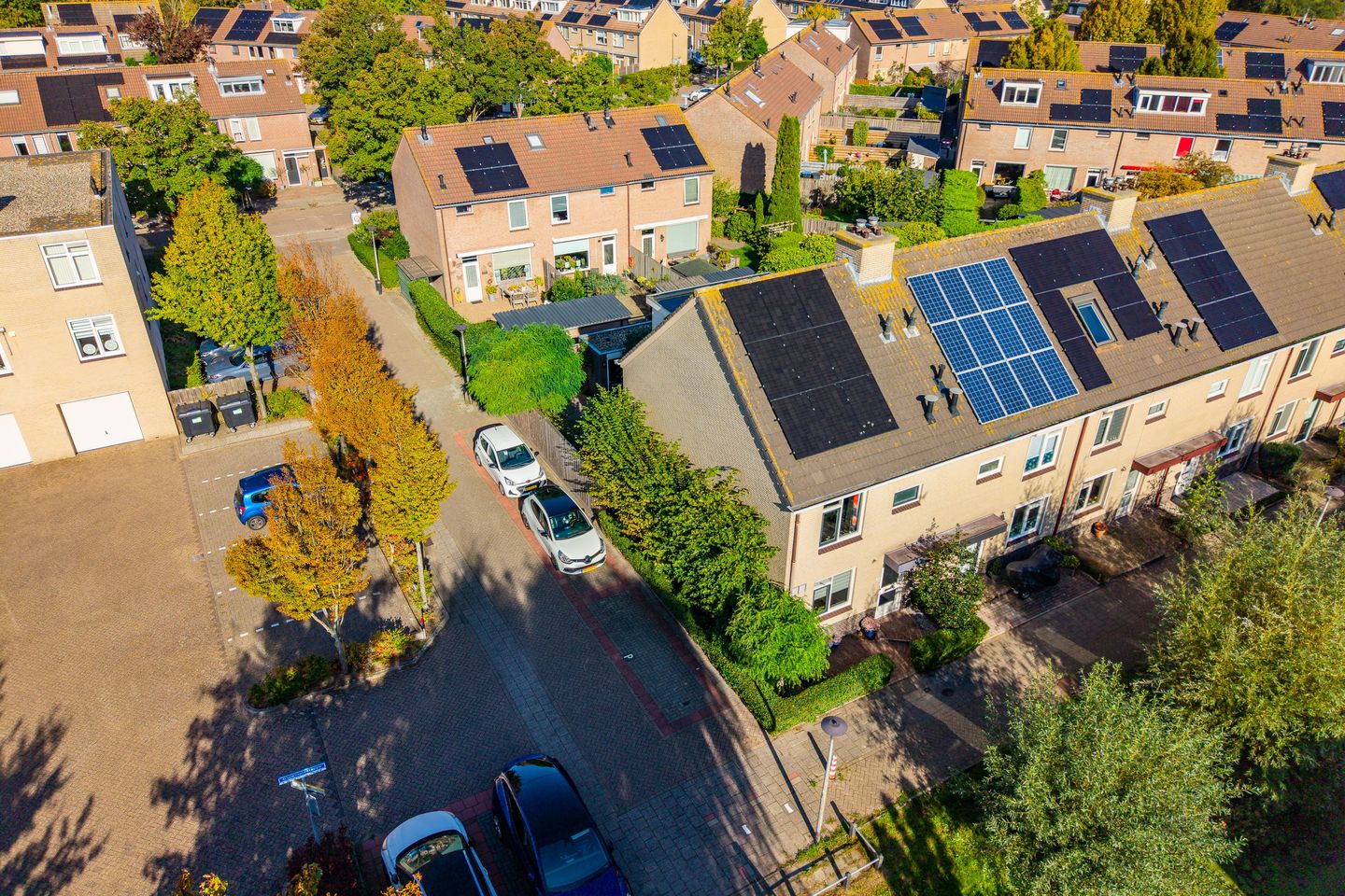 Foto 10 van Darwinplantsoen 28