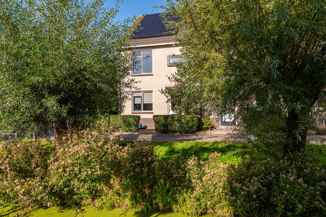 Foto 11 van Darwinplantsoen 28