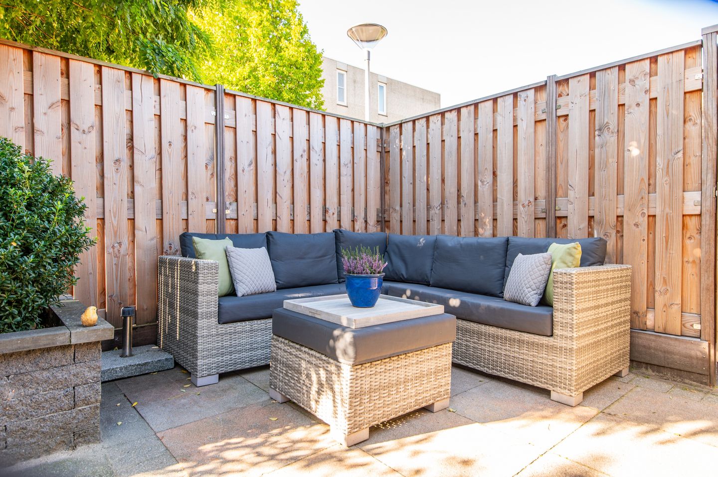 Foto 29 van Darwinplantsoen 28