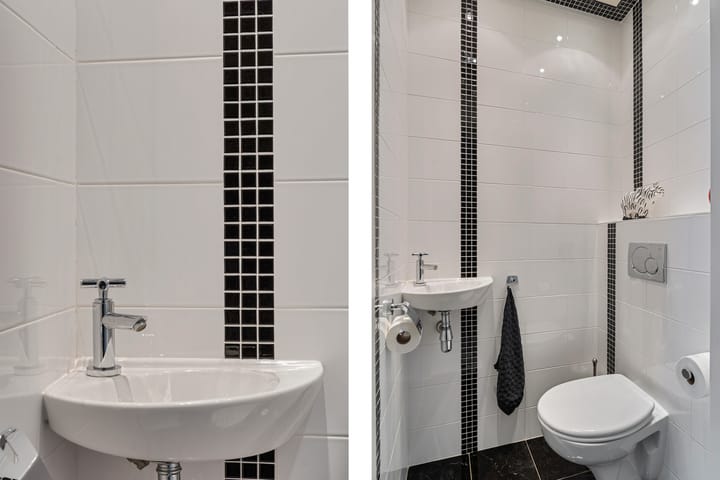 Photo 10 of Robijn 3