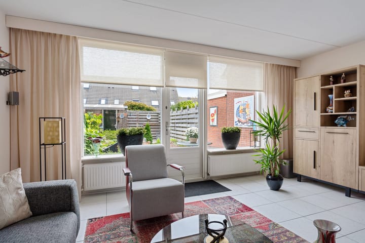 Photo 18 of Robijn 3