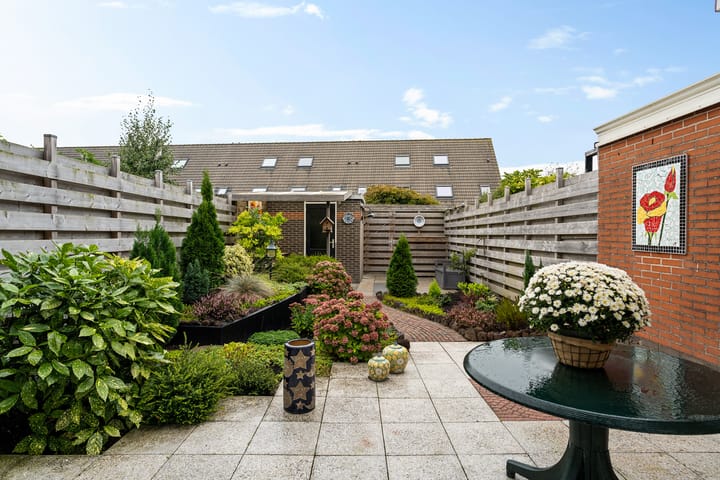 Photo 22 of Robijn 3