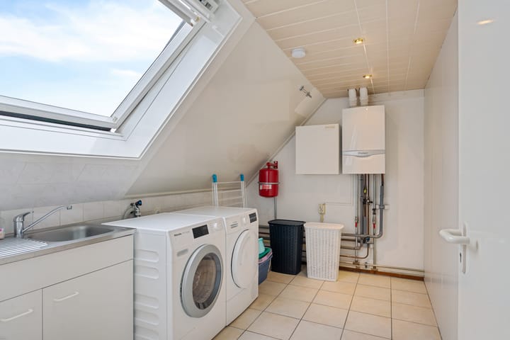 Photo 43 of Robijn 3