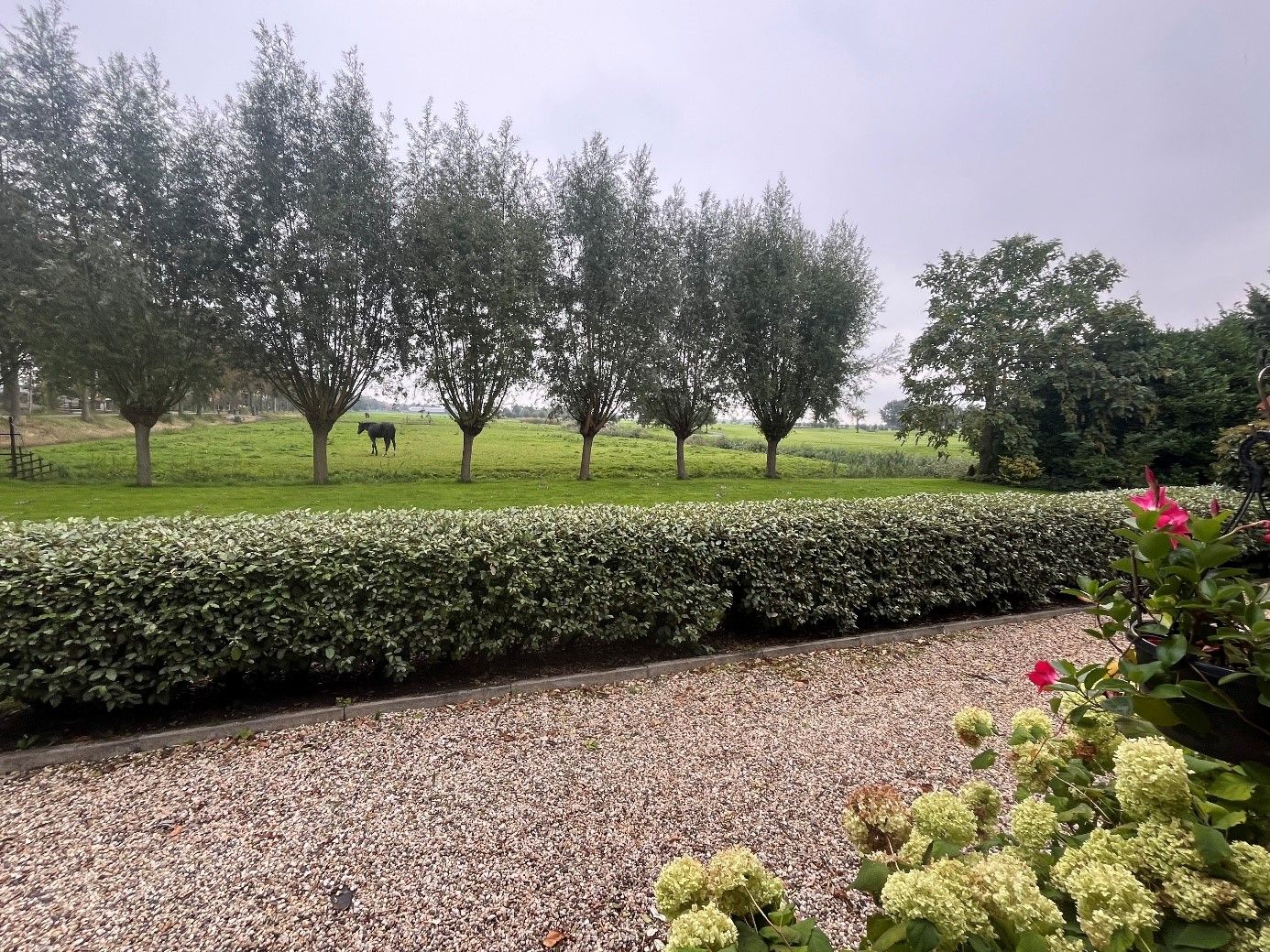 Photo 15 of Zuiderweg 63-A