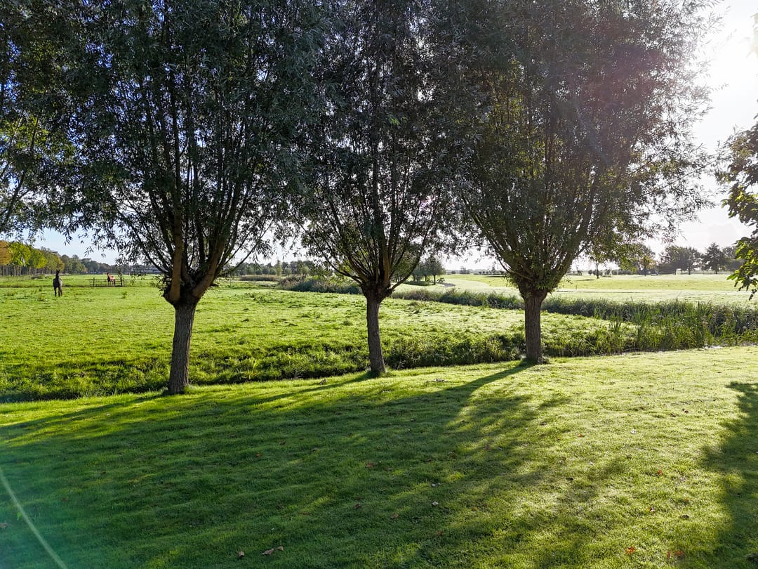 Photo 16 of Zuiderweg 63-A