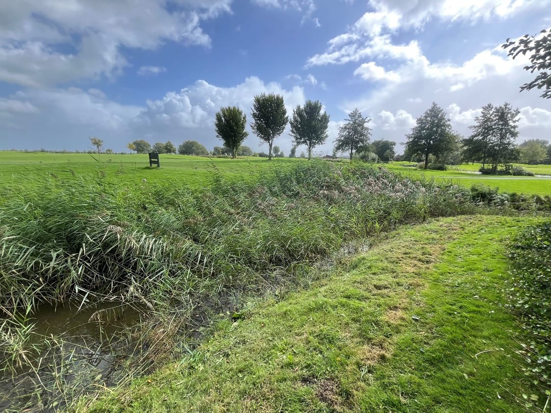 Photo 17 of Zuiderweg 63-A