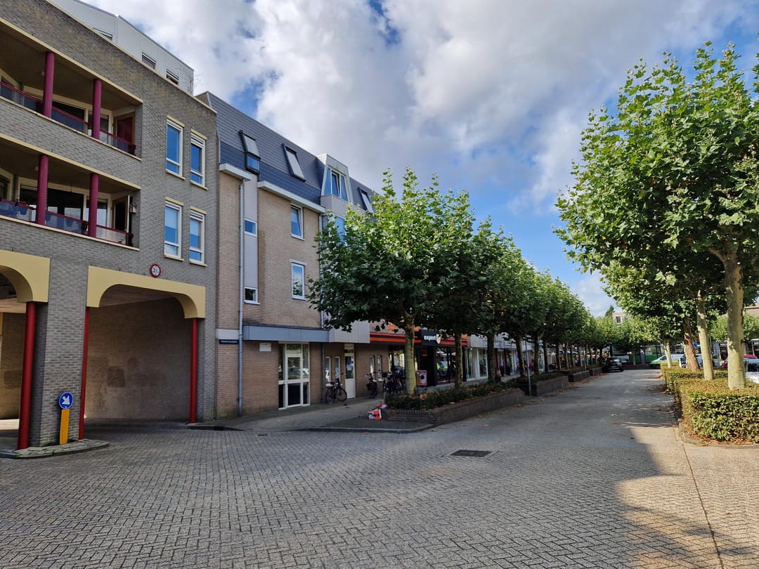 Foto 1 van Mondriaanplein 31