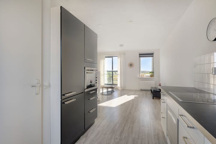 Photo 12 of Zomerzon 54