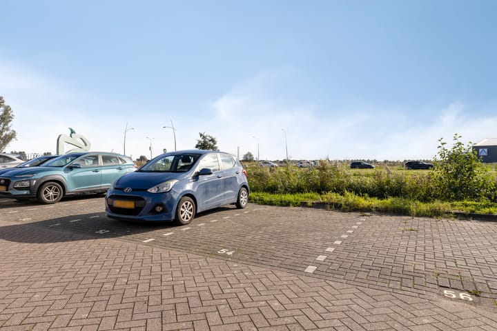 Photo 21 of Zomerzon 54