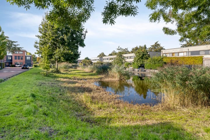 Photo 23 of Zomerzon 54