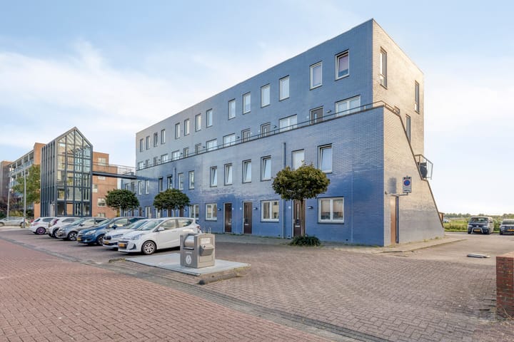 Photo 24 of Zomerzon 54