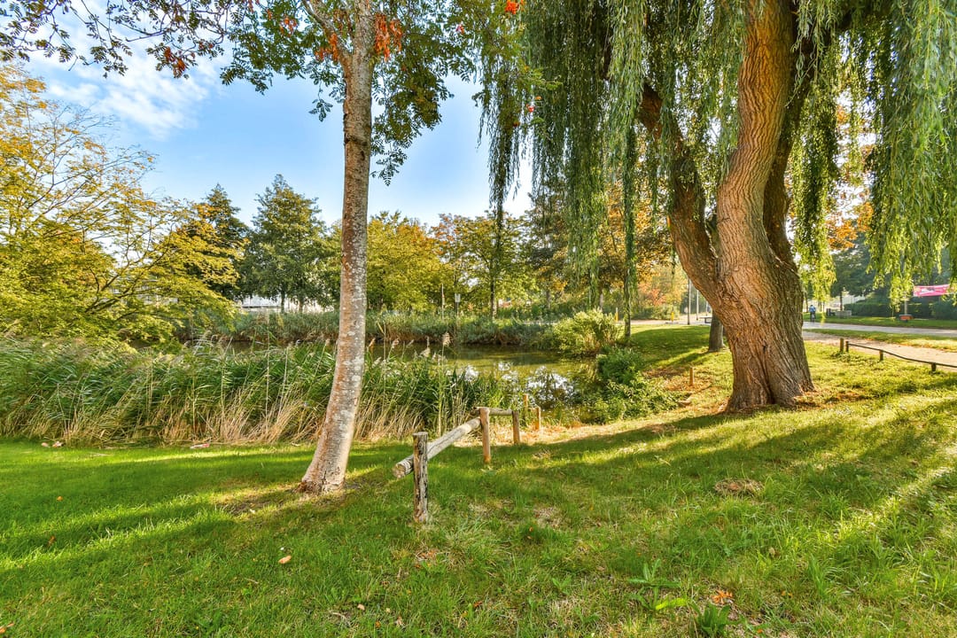 Foto 16 van Zevenblad 41