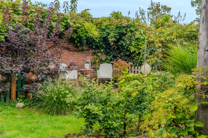 Foto 12 van Molenlaan 2