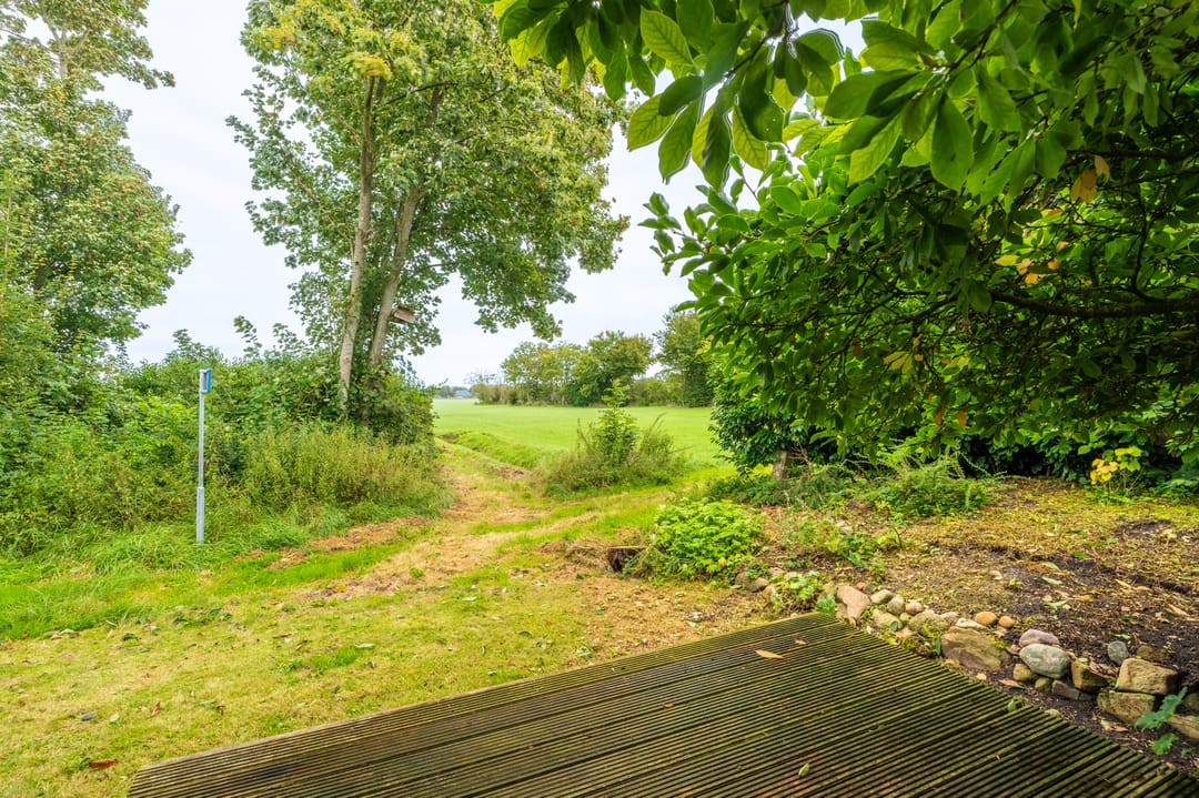 Photo 22 of Molenlaan 2