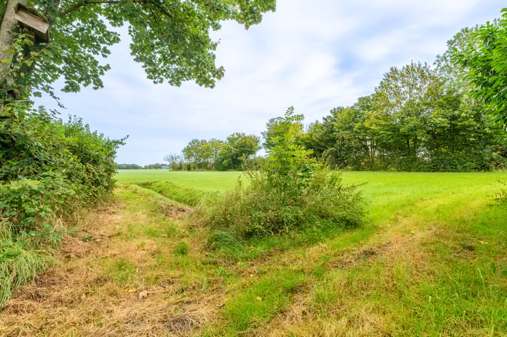 Foto 24 van Molenlaan 2