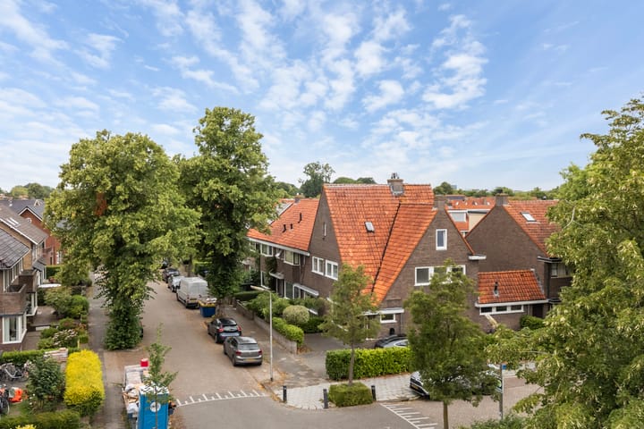 Foto 36 van Gerard Terborchstraat 12