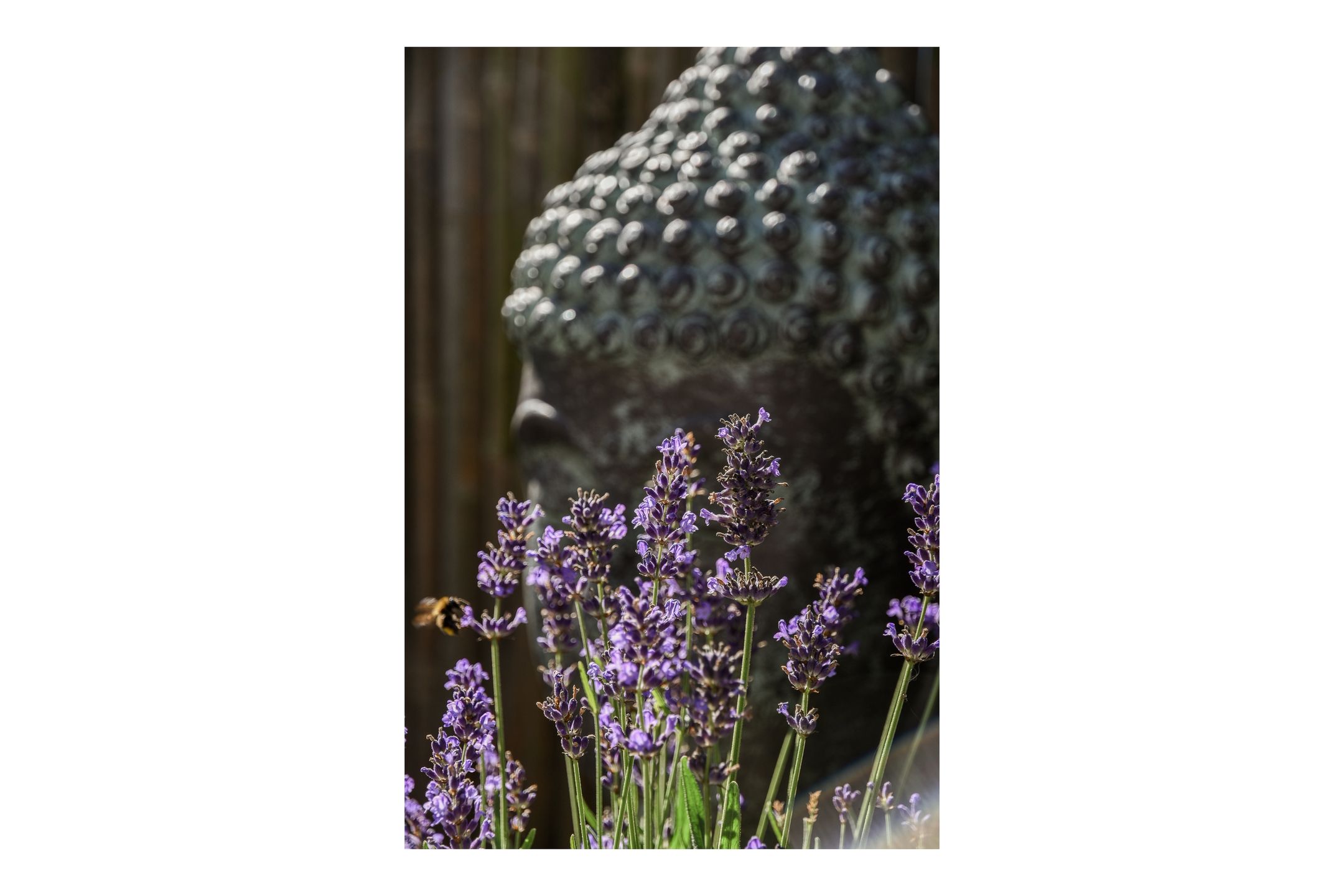 Foto 15 van Laan van Vlaanderen 112