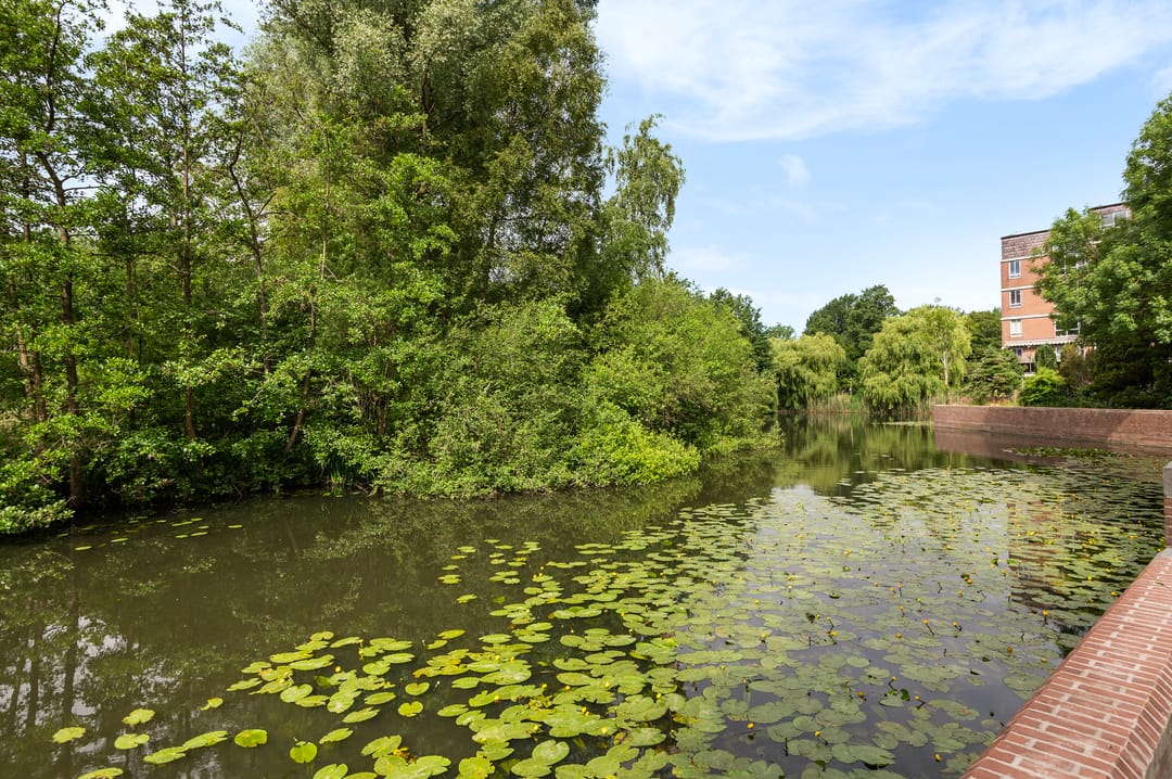 Foto 13 van Leerdamhof 396