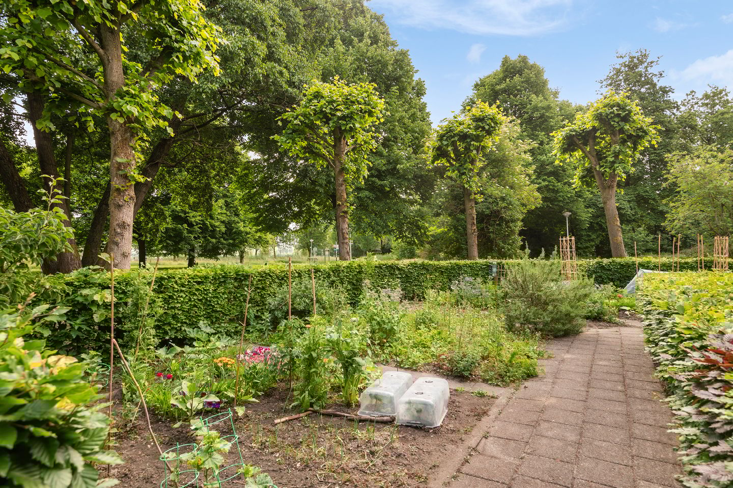 Foto 14 van Leerdamhof 396