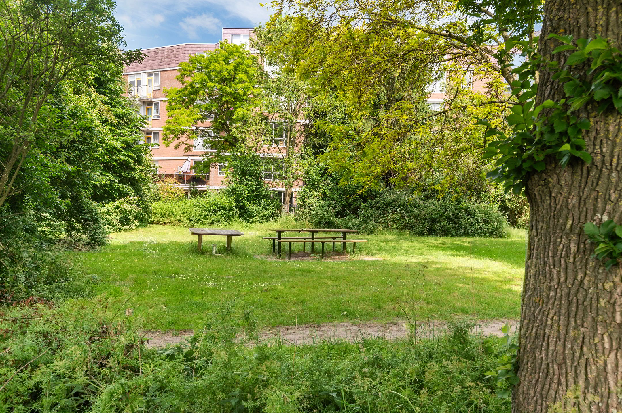 Foto 21 van Leerdamhof 396