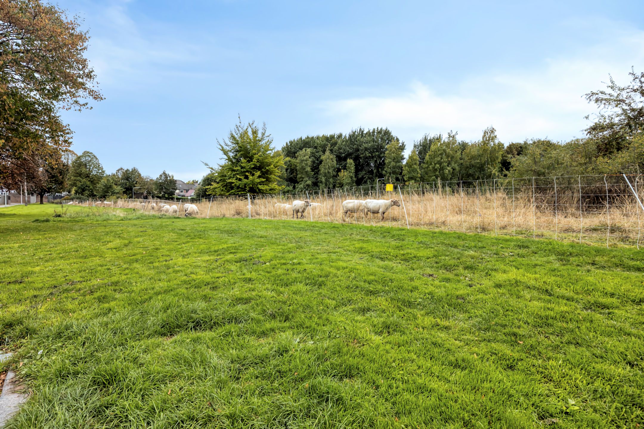 Foto 30 van St.Quirinusstraat 84