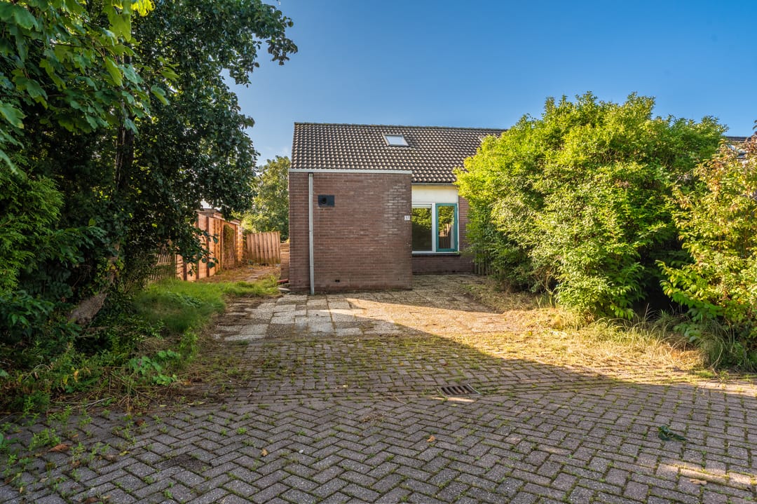 Foto 7 van Duivenslag 37