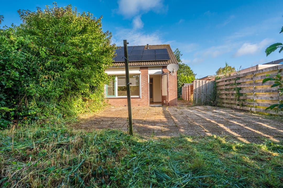 Foto 8 van Duivenslag 37