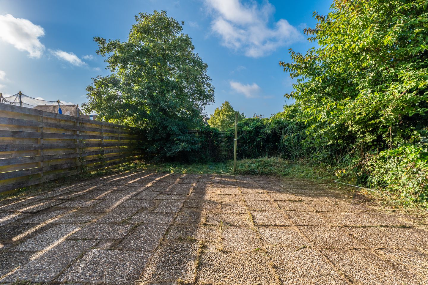 Foto 10 van Duivenslag 37