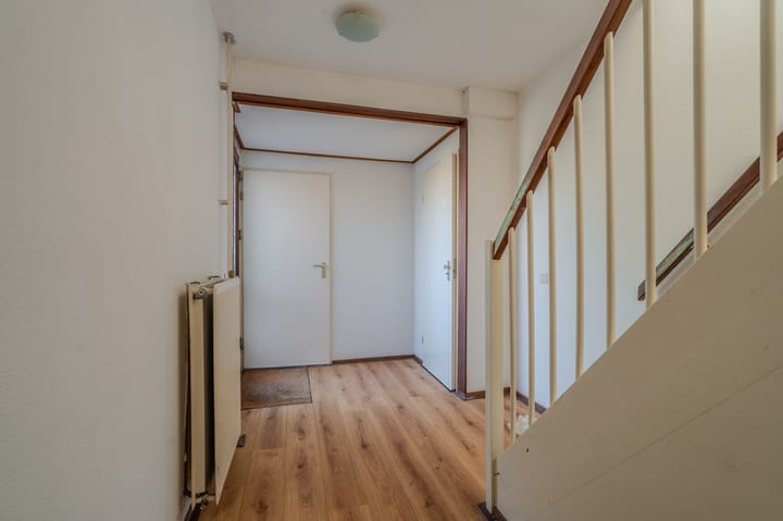 Photo 13 of Duivenslag 37