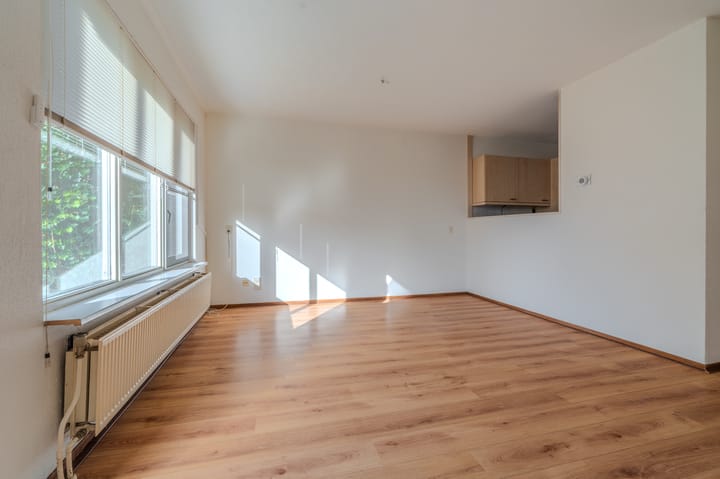 Photo 16 of Duivenslag 37