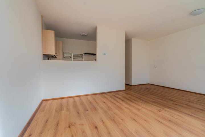 Photo 19 of Duivenslag 37