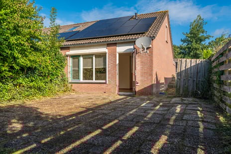 undefined main image