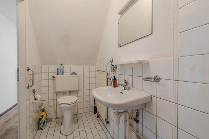 Photo 29 of Duivenslag 37