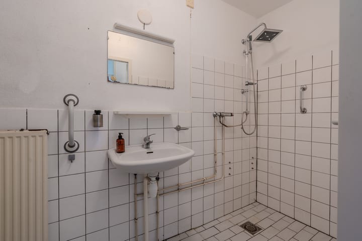 Photo 27 of Duivenslag 37