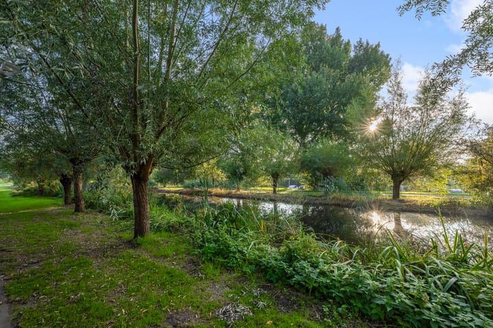 Foto 23 van Nettelhorst 24