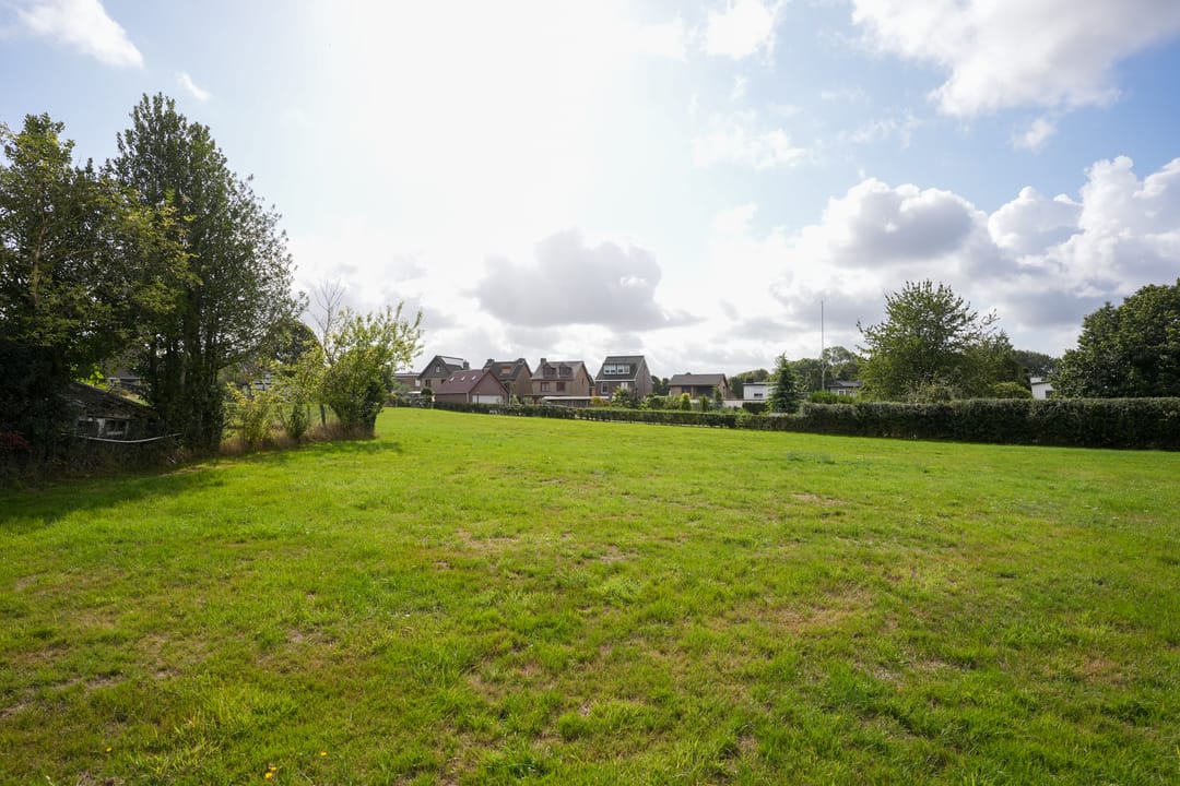 Foto 46 van Cruisboomstraat 11