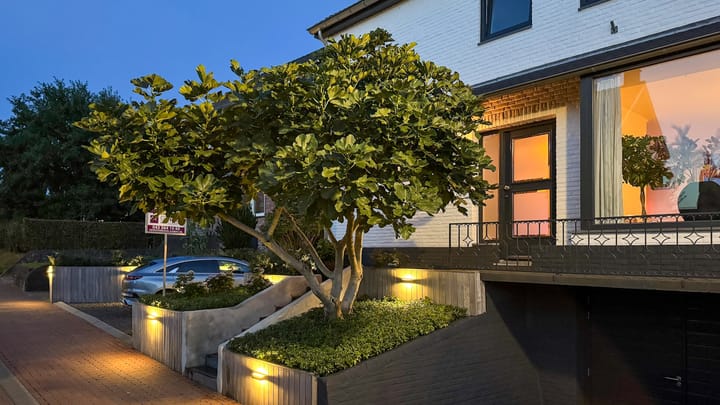 Foto 50 van Cruisboomstraat 11