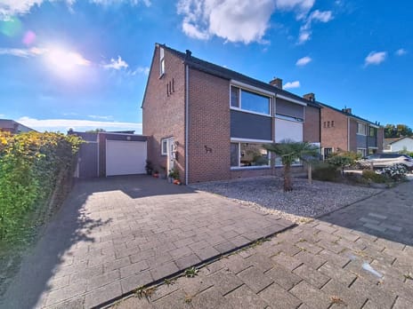 Hoogvogelstraat thumbnail