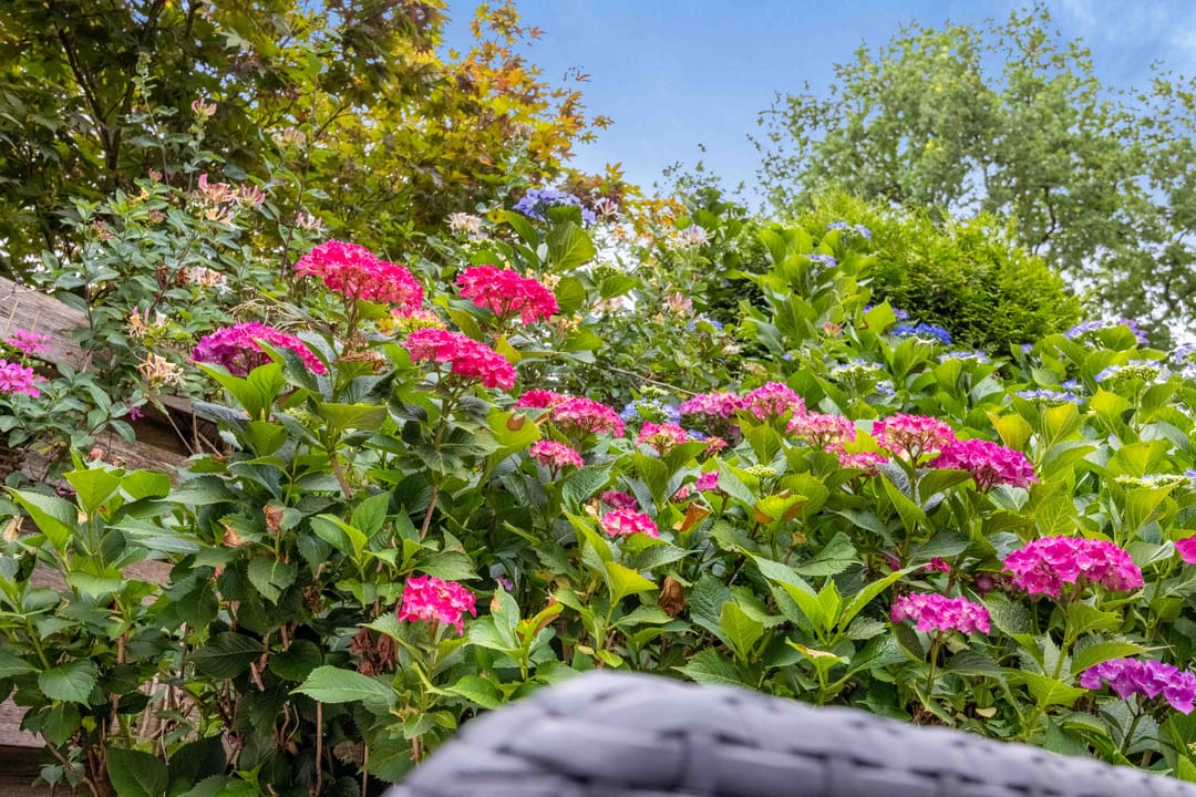 Foto 2 van Rogier van der Weydenlaan 41