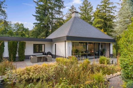 Hazeloop 4 tertiary image