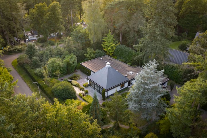 Hazeloop 4 main image