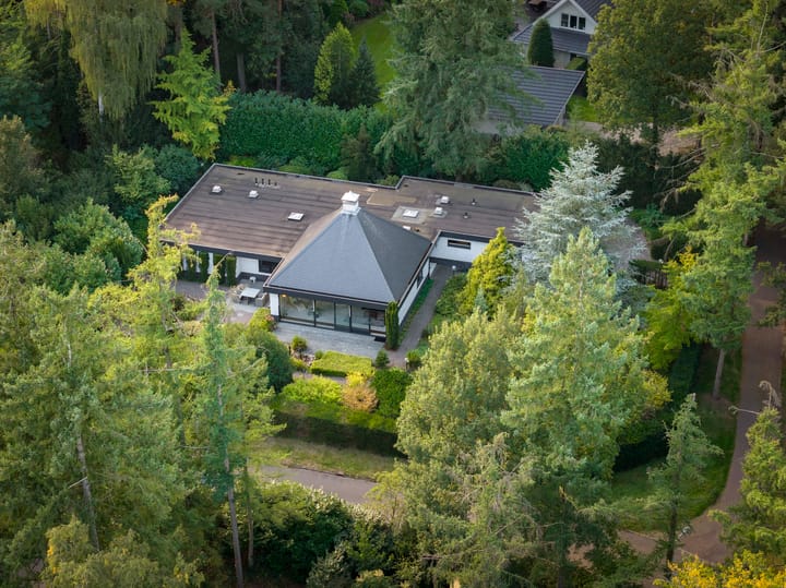 Foto 51 van Hazeloop 4